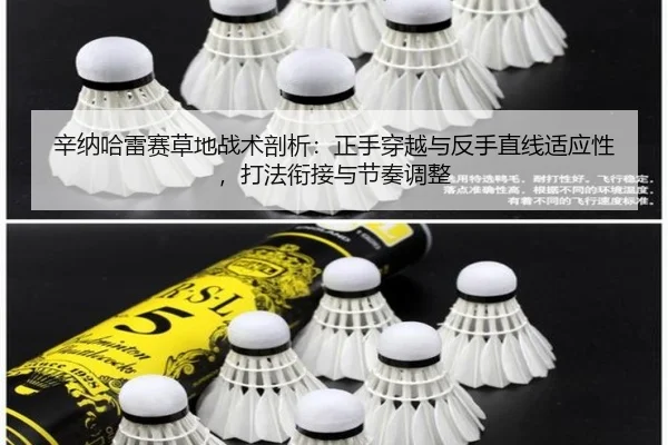 xin-na-ha-lei-sai-cao-di-zhan-shu-pou-xi-zheng-shou-chuan-yue-yu-fan-shou-zhi-xian-shi-ying-xing-da-fa-xian-jie-yu-jie-2-250.jpg