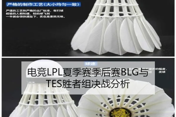 电竞LPL夏季赛季后赛BLG与TES胜者组决战分析